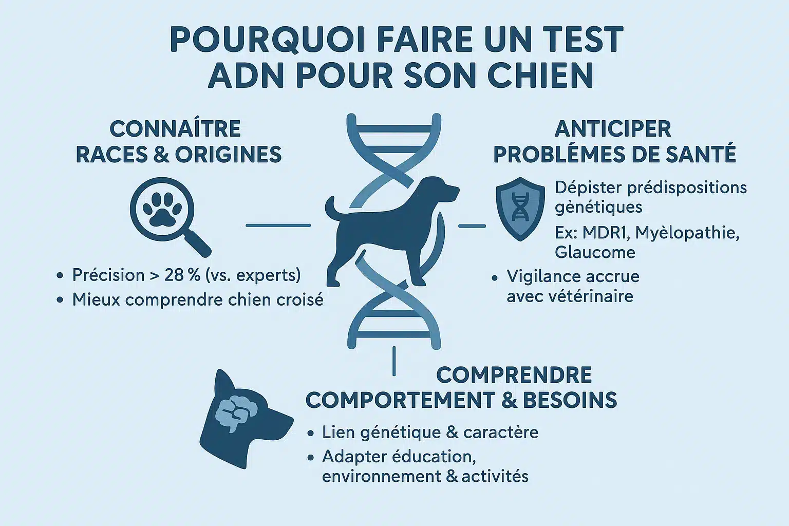 Test ADN chien