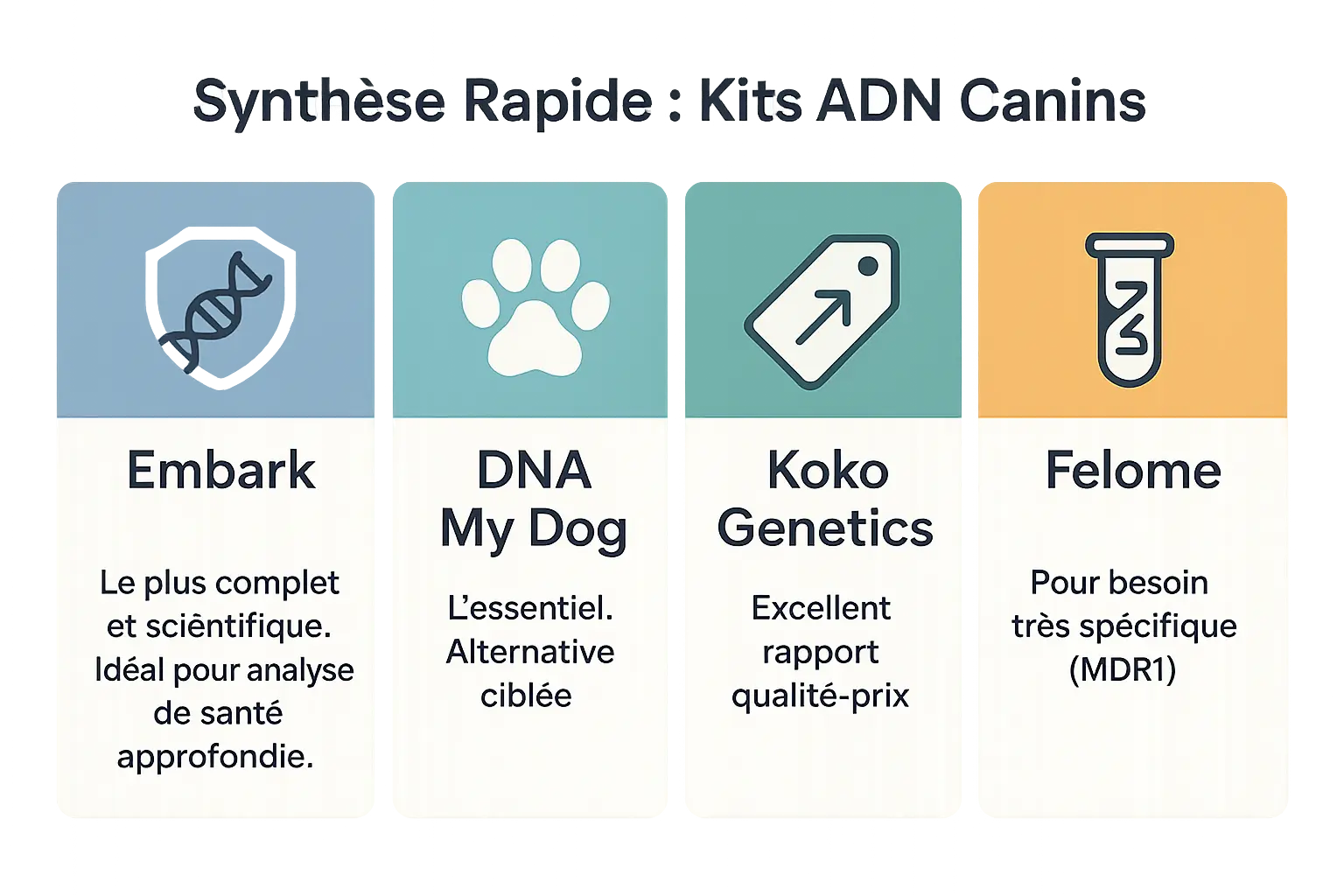 Comparatif des meilleurs tests ADN pour chiens